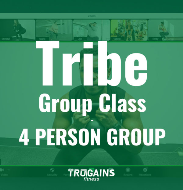 tribe-group-class-4-person-group-trugains-fitness